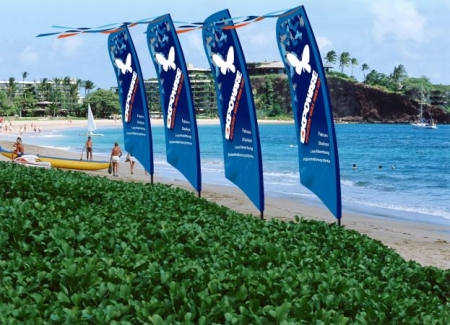 Beachflag Sailbanner XXL